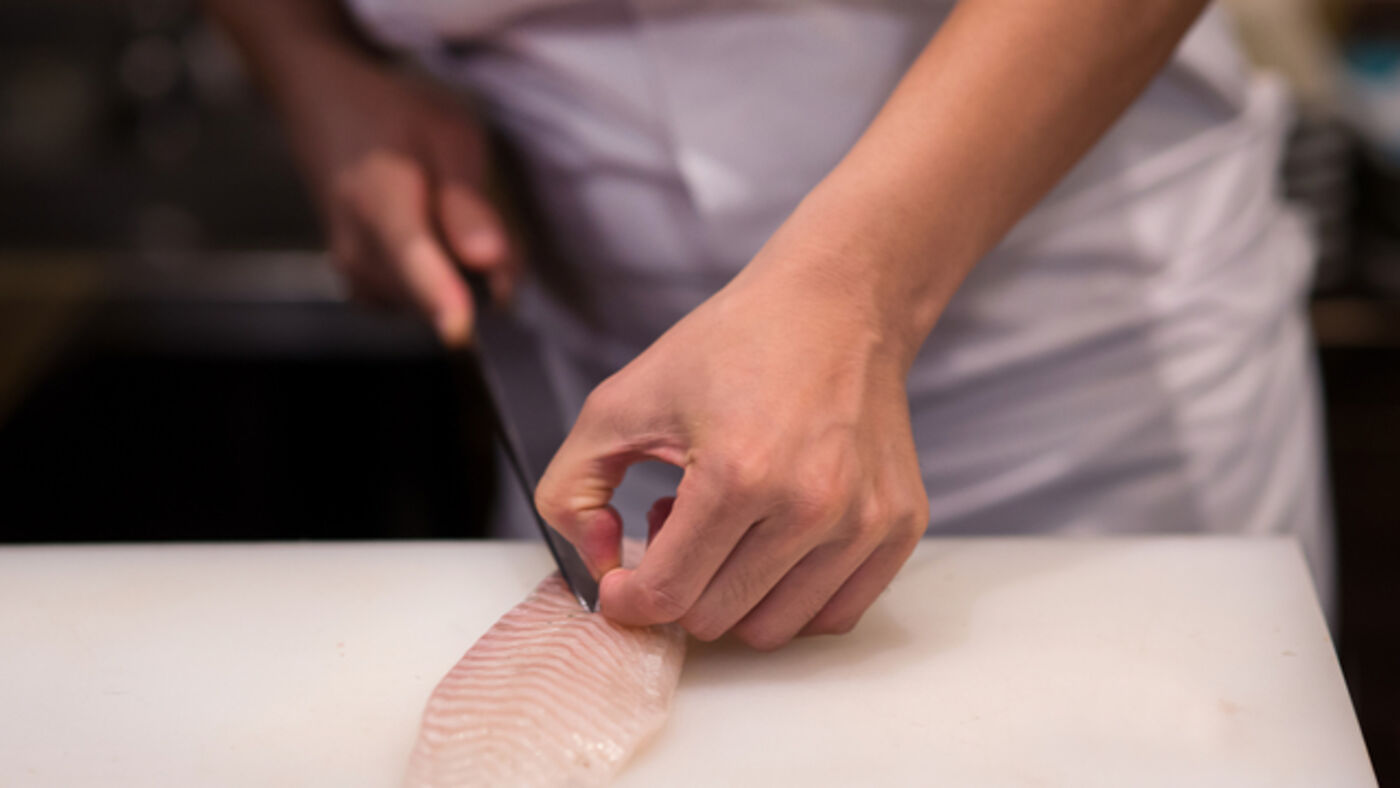 ΦΙΛΕΤΑΡΙΣΜΑ ΨΑΡΙΟΥ & ΠΡΟΤΑΣΕΙΣ ΣΕΡΒΙΡΙΣΜΑΤΟΣ
