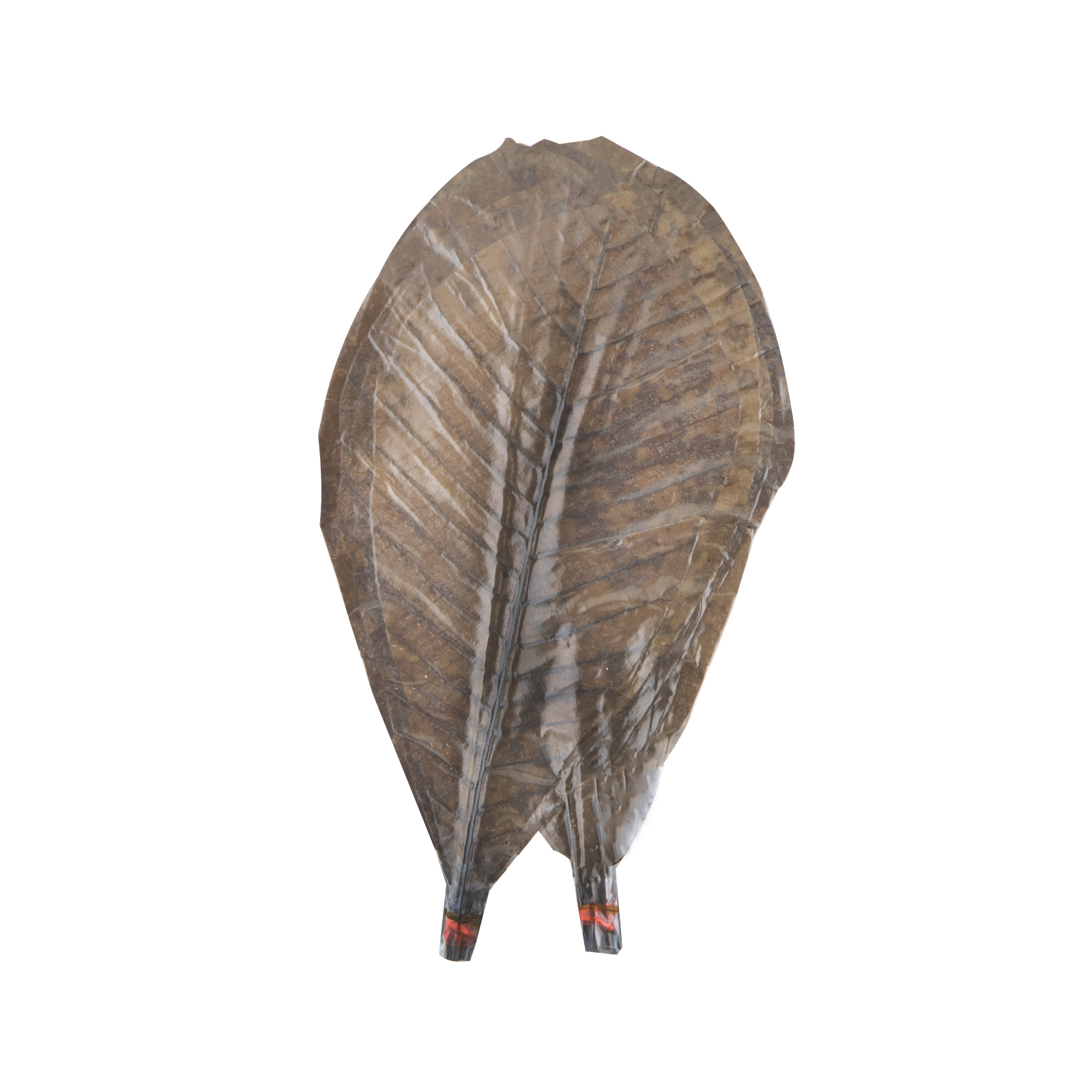 Hooba Leaves Dry 30-36cm 1pc